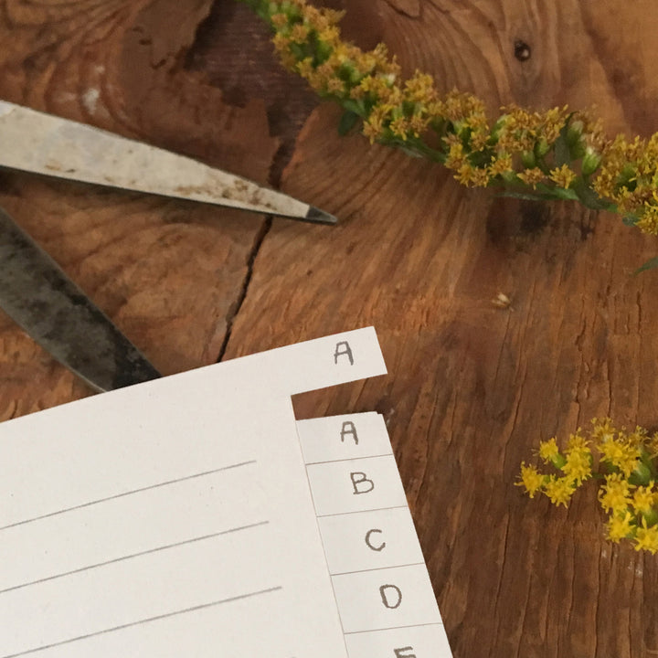 Adressbuch weiß im floralen Design | kleines handliches Notizbuch mit Register zum Ausschneiden | Softcover, liniert, 11,5x18 cm, Recyclingpapier