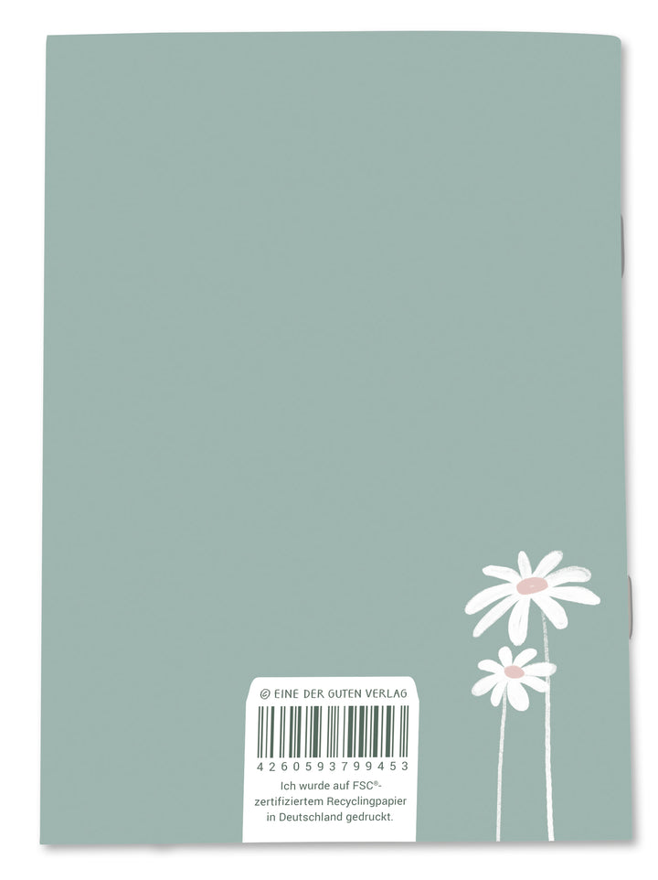 A6 Taschenkalender 2027, mini Monatsplaner mit Jahresübersicht & Notizseiten, Mint