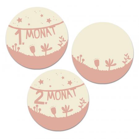 12 runde Monatssticker & 12 Freitext Etiketten zum Basteln | Creme Rosa Scherenschnitt Design, selbstklebend, 40 mm | für Schwangerschaft u.v.m.