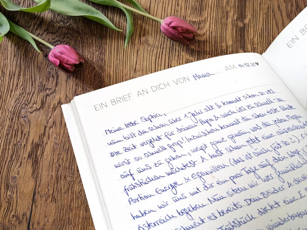 Baby Diary für die Eltern zum Eintragen und Dokumentieren