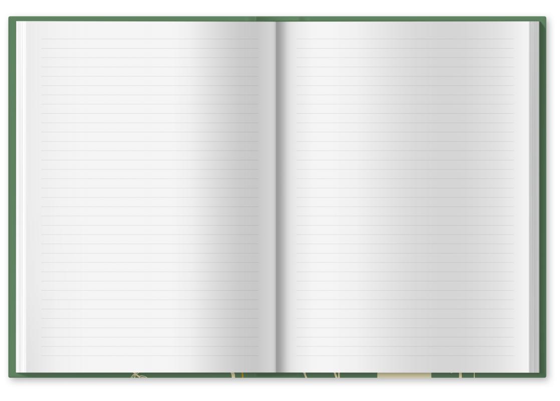 Blanko Tagebuch mit Linien